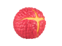 Waboba Sun Dragon Egg Red