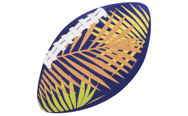 Waboba_American_Water_Football_6_Purple_Changed